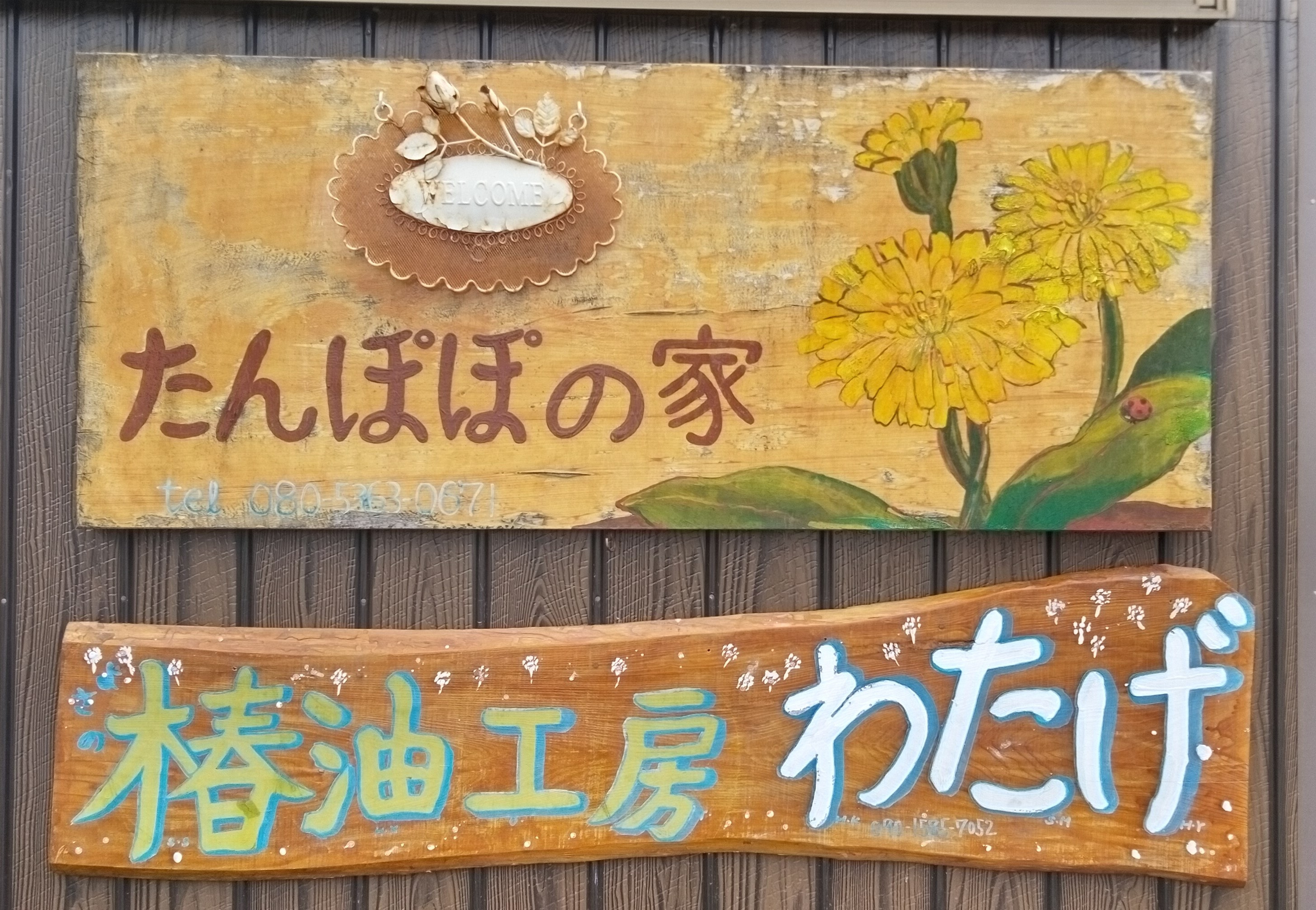 たんぽぽの家・椿油工房わたげ