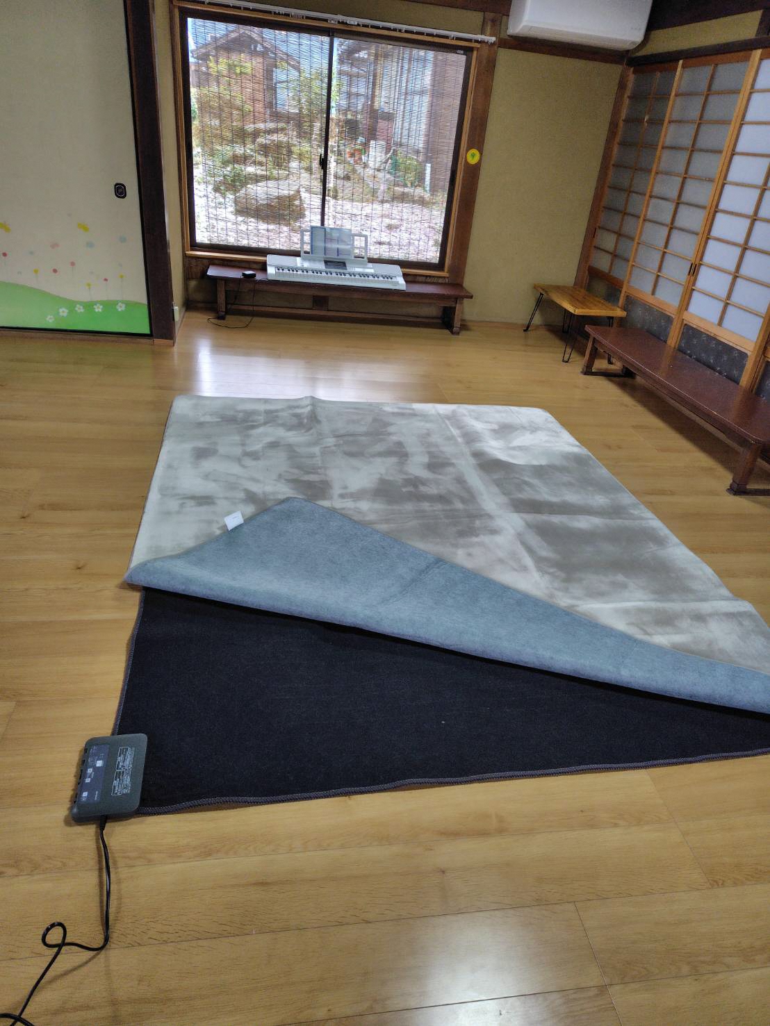 整備した電気カーペット