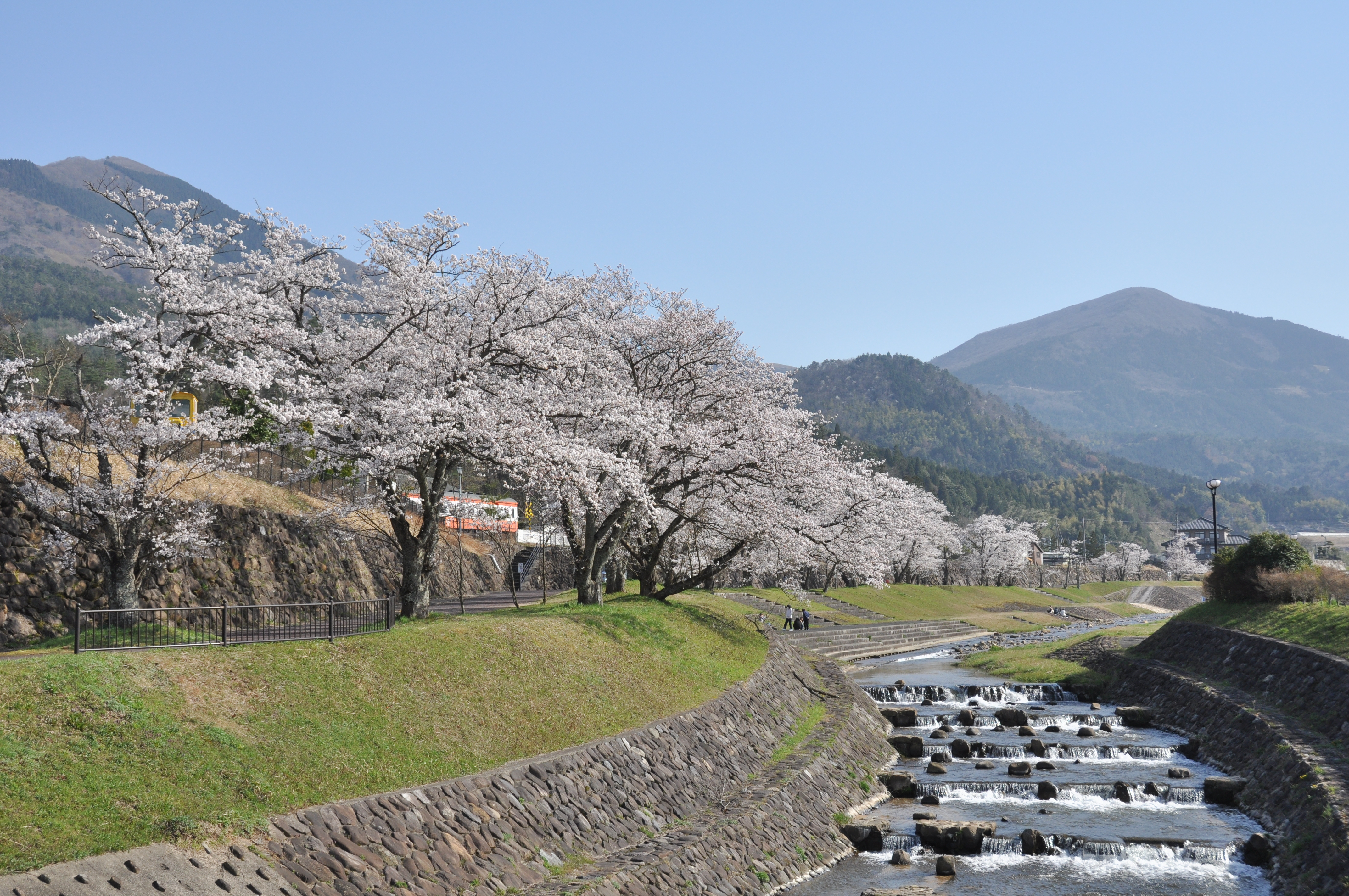 春の親水公園