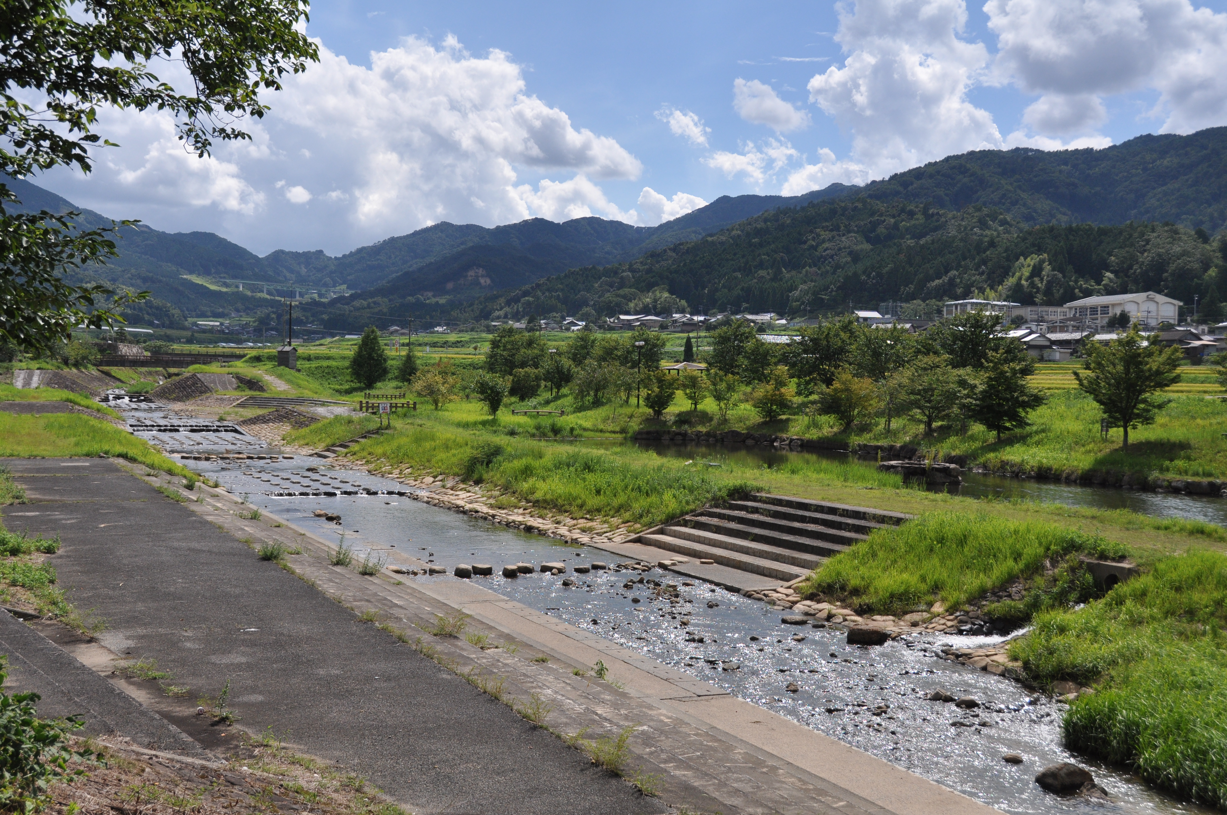 夏の親水公園