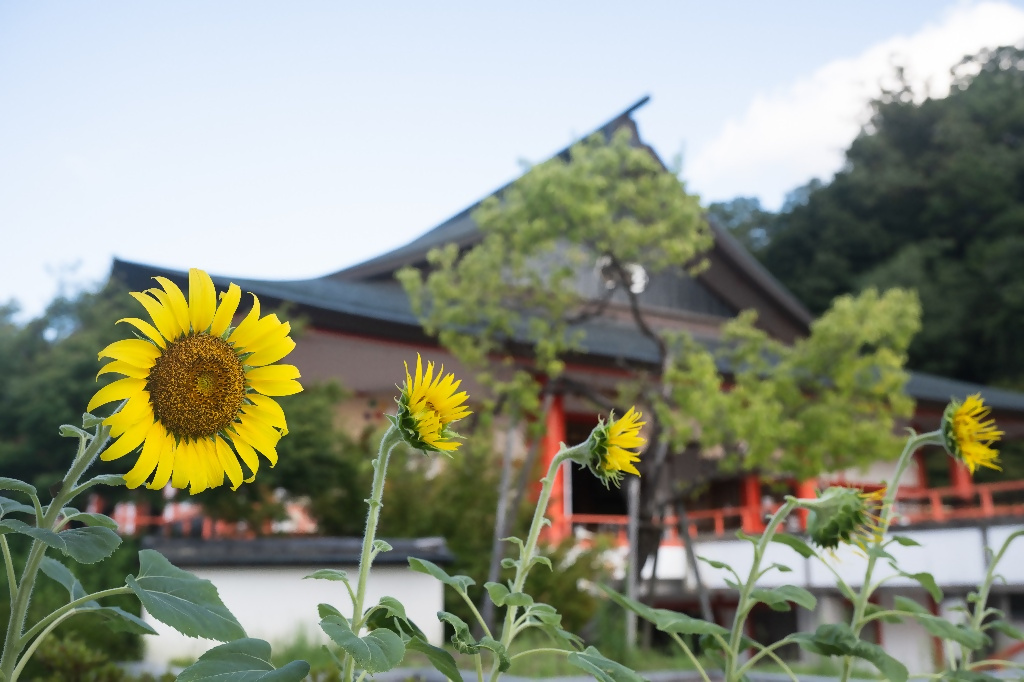 出雲大社与謝分祠9月1日