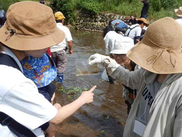 岩屋川の生き物を見せてもらいました