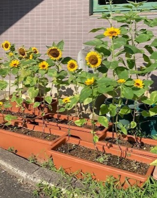 虹ヶ丘デイサービスセンター9月3日