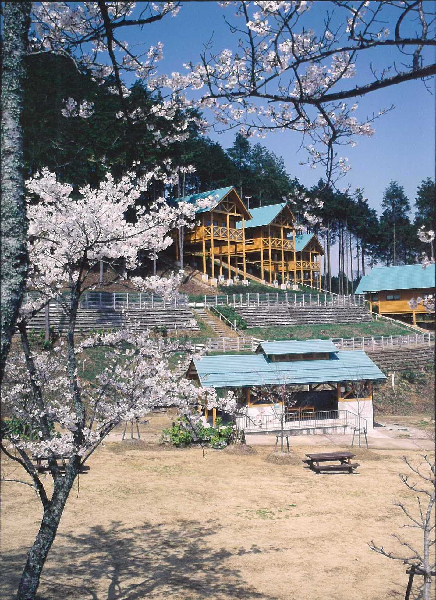 春の一字観公園