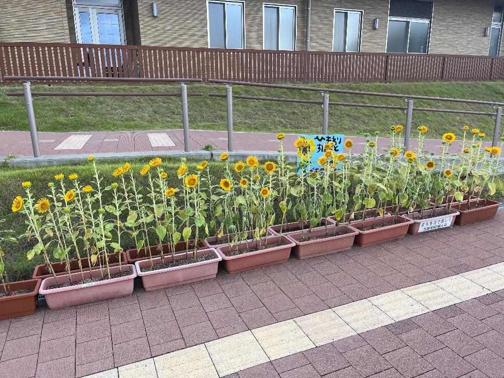 0715つばきこども園