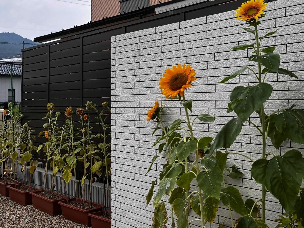 カフェアンコール