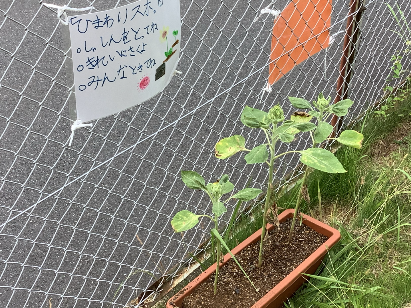 0716石川小学校