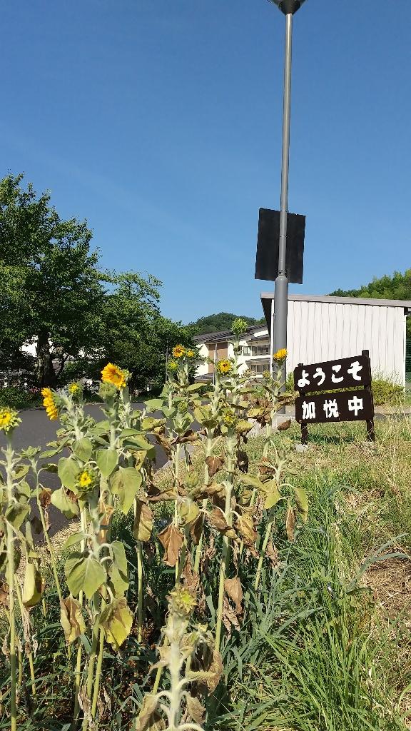 0730加悦中学校