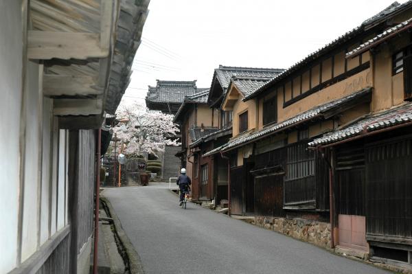 ちりめん街道　実相寺の桜と街道　20160405 (….jpg