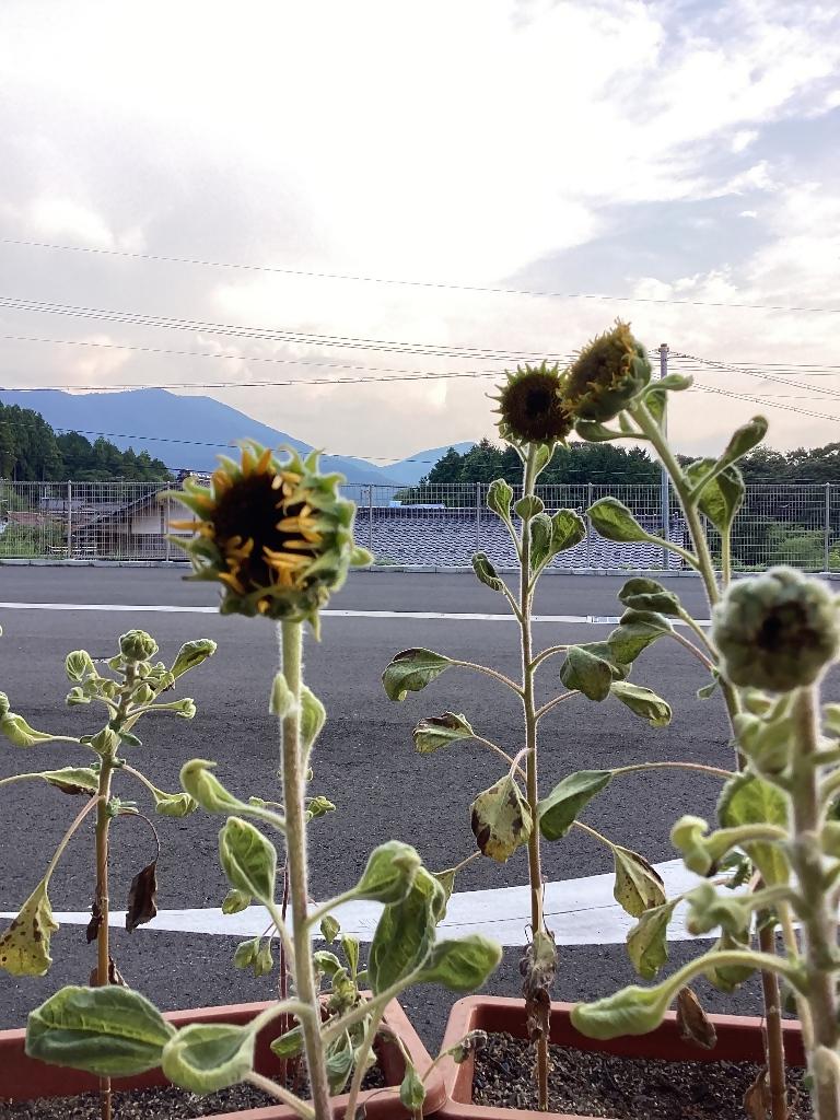 0828与謝の園