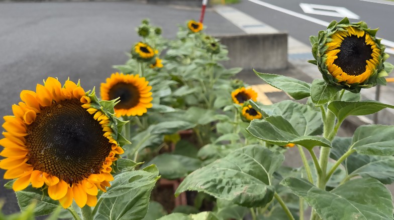後野地区公民館8月18日
