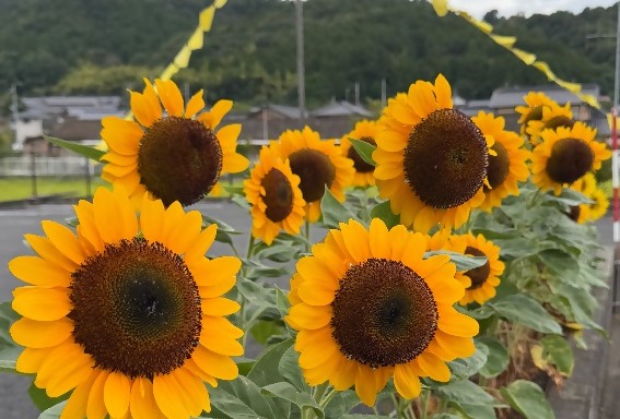 後野地区公民館8月28日